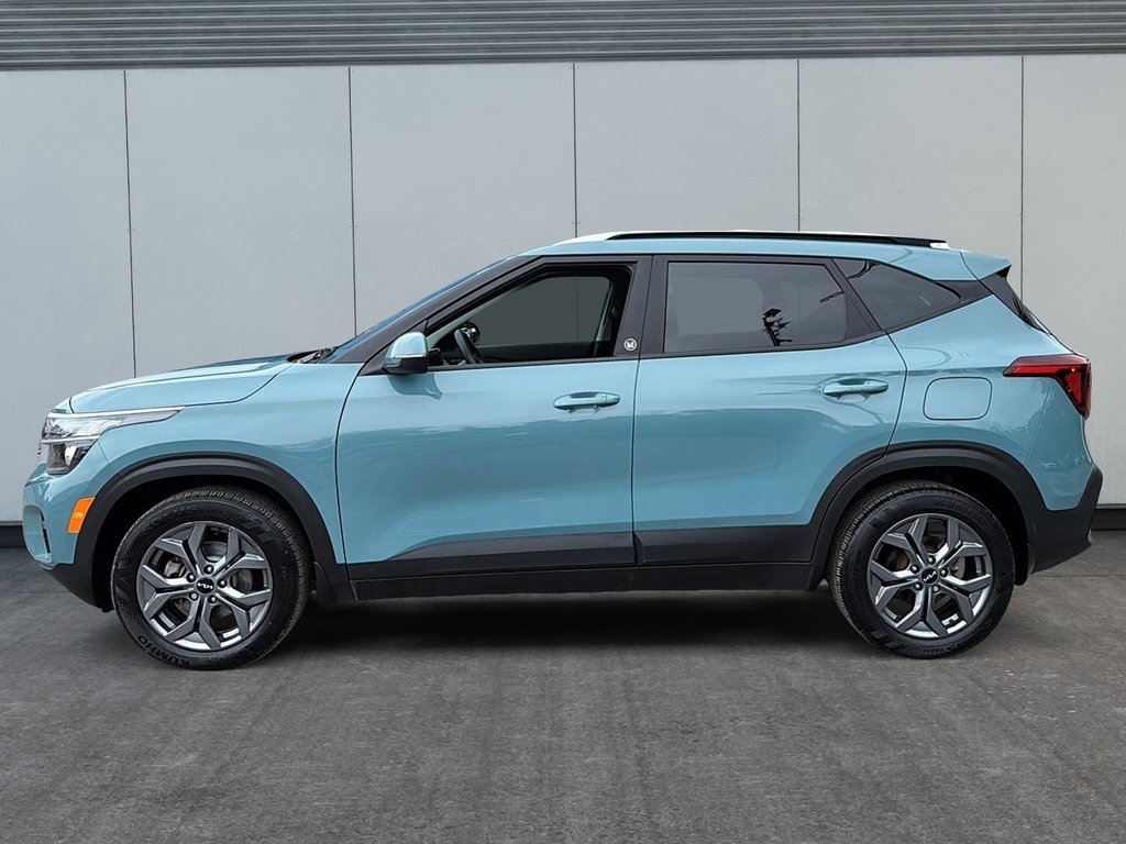 Kia Seltos LX 2024 à Drummondville, Québec - 5 - w1024h768px