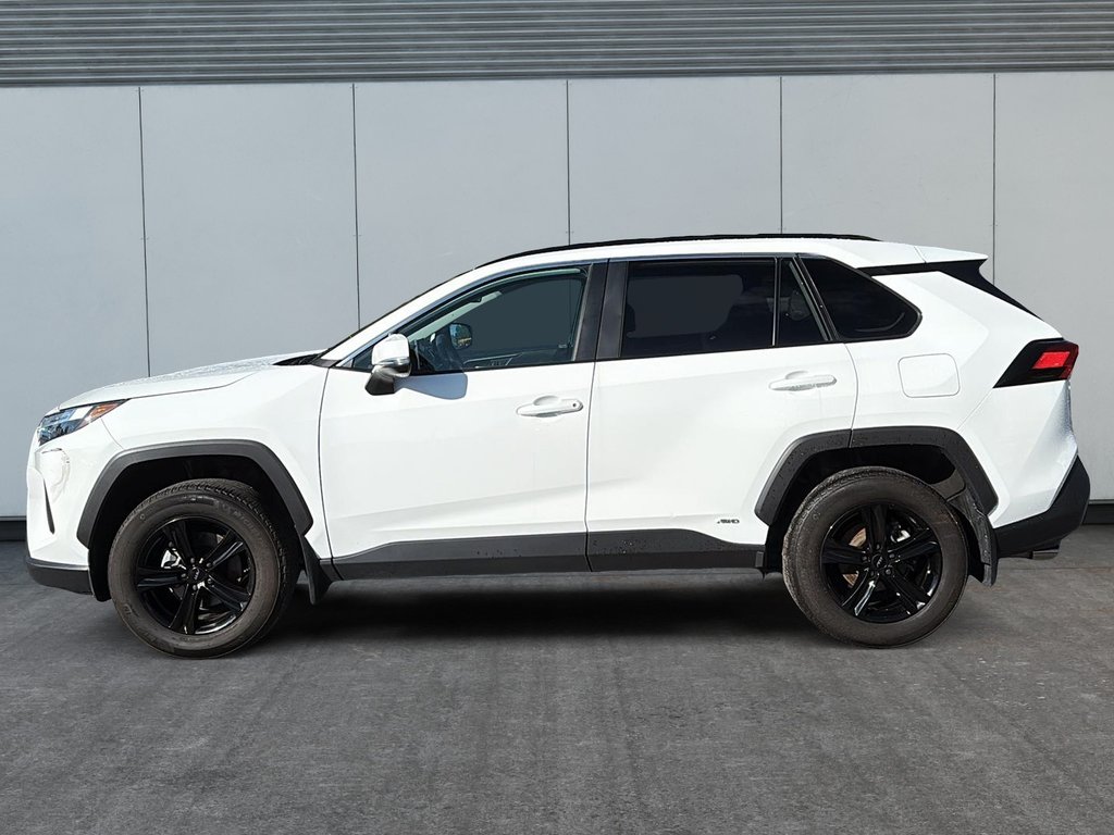 2024 Toyota RAV4 Hybrid XLE in Drummondville, Quebec - 5 - w1024h768px