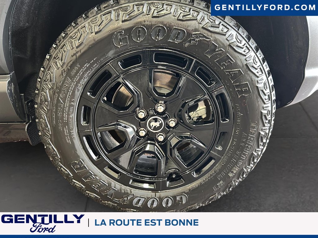 2025 Ford Bronco Sport Badlands in Bécancour (Gentilly Sector), Quebec - 7 - w1024h768px