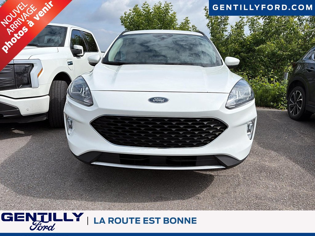 Ford Escape SEL 2020 à Bécancour (Secteur Gentilly), Québec - 2 - w1024h768px
