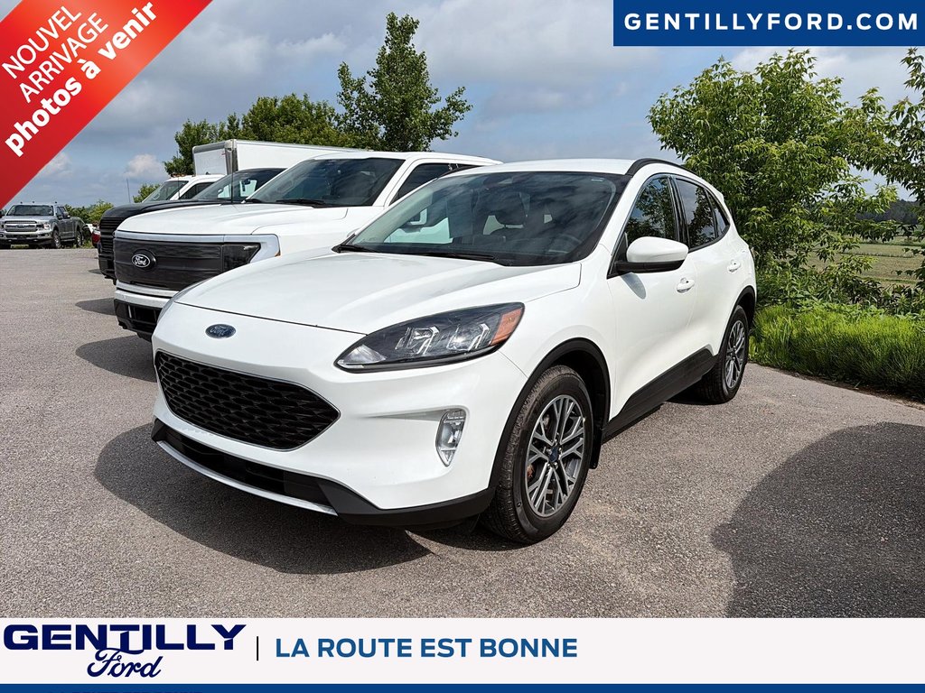 Ford Escape SEL 2020 à Bécancour (Secteur Gentilly), Québec - 1 - w1024h768px