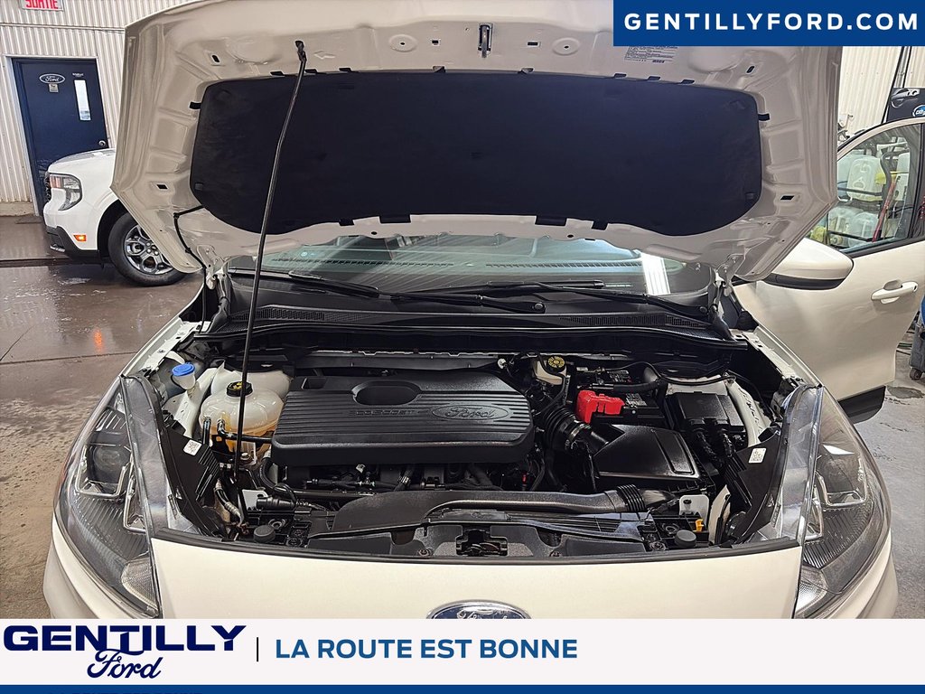 2020 Ford Escape SEL in Bécancour (Gentilly Sector), Quebec - 8 - w1024h768px