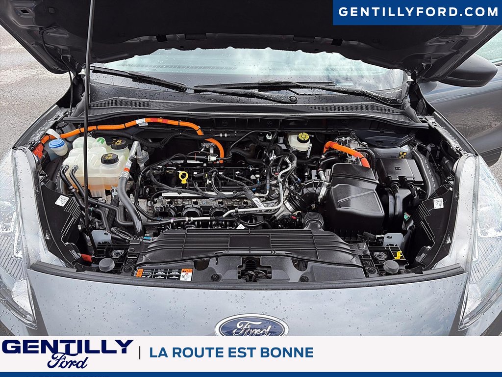 2022 Ford Escape SE Hybrid in Bécancour (Gentilly Sector), Quebec - 8 - w1024h768px