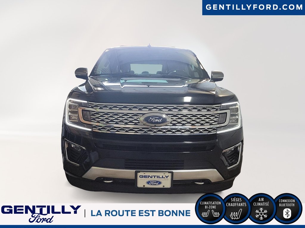 Expedition Platinum Max 2021 à Bécancour (Secteur Gentilly), Québec - 2 - w1024h768px