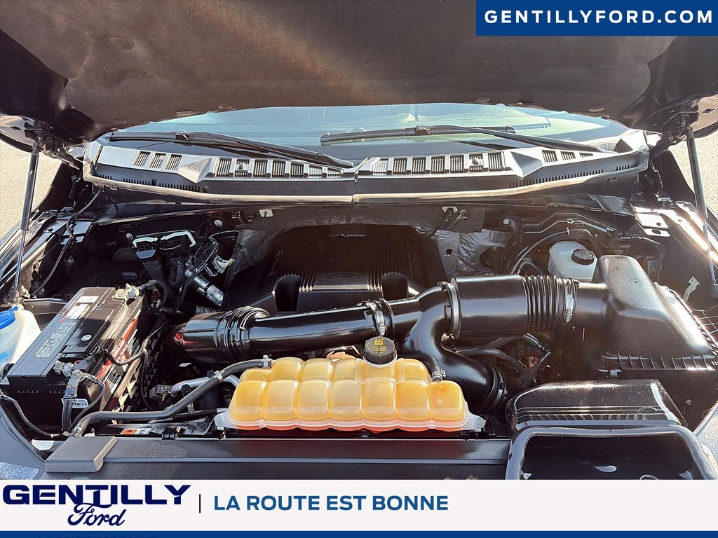 Ford F-150  2017 à Bécancour (Secteur Gentilly), Québec - 8 - w1024h768px