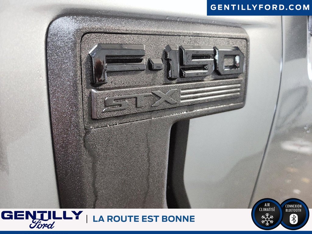 Ford F-150 STX 2024 à Bécancour (Secteur Gentilly), Québec - 7 - w1024h768px