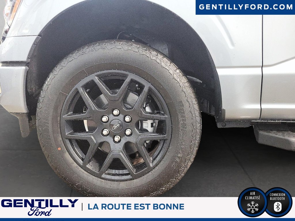 Ford F-150 STX 2024 à Bécancour (Secteur Gentilly), Québec - 8 - w1024h768px