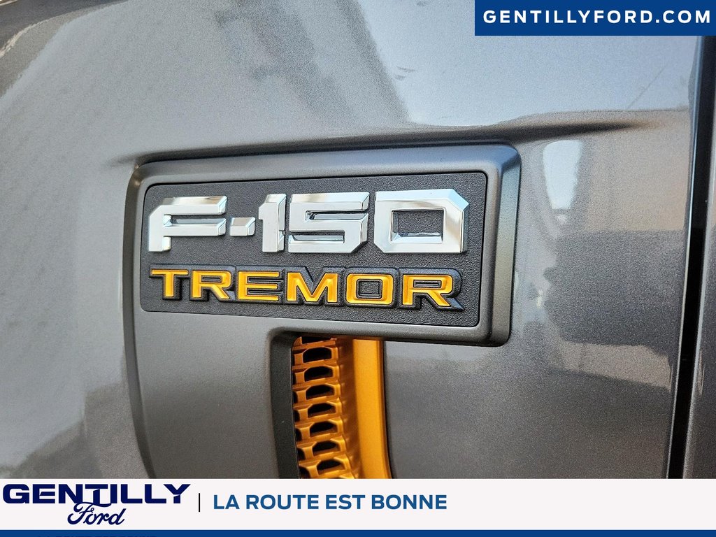 2025 Ford F-150 Tremor in Bécancour (Gentilly Sector), Quebec - 7 - w1024h768px
