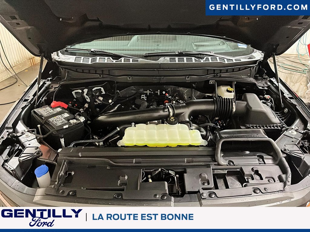 Ford F-150 Tremor 2025 à Bécancour (Secteur Gentilly), Québec - 8 - w1024h768px