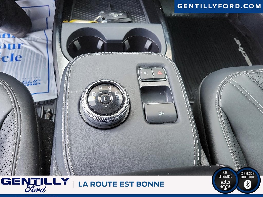 Ford Mustang Mach-E Premium,AWD,Batterie longue durée,Toit Pano,GPS 2022 à Bécancour (Secteur Gentilly), Québec - 14 - w1024h768px