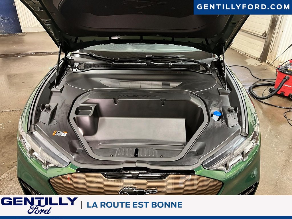 2025 Ford Mustang Mach-E GT in Bécancour (Gentilly Sector), Quebec - 7 - w1024h768px