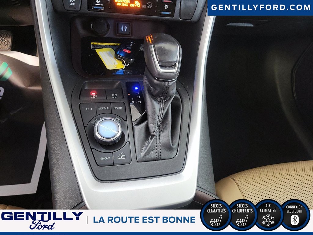 2019  RAV4 Limited in Bécancour (Gentilly Sector), Quebec - 14 - w1024h768px