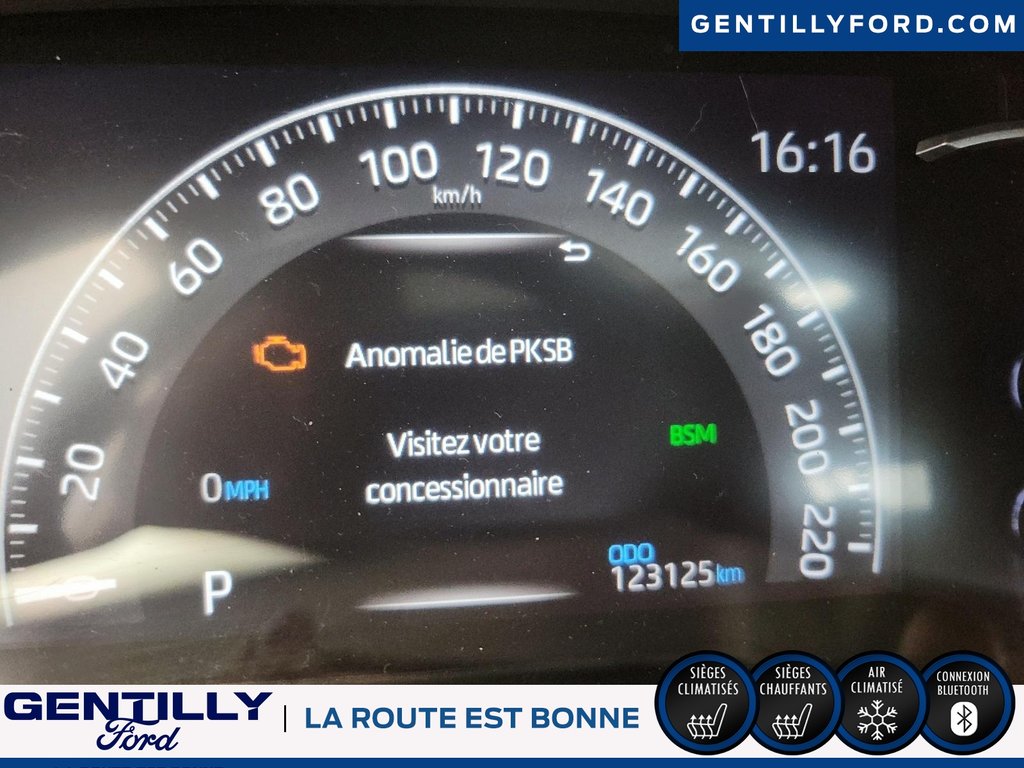 2019  RAV4 Limited in Bécancour (Gentilly Sector), Quebec - 12 - w1024h768px