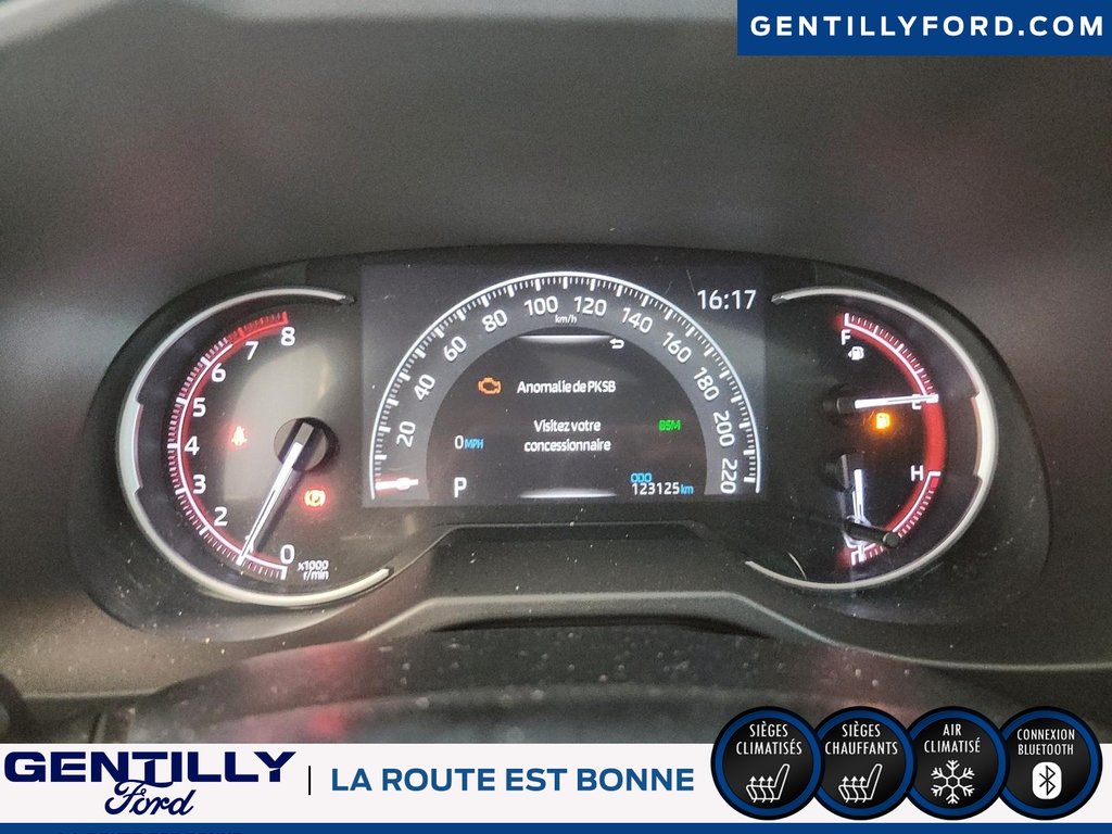 2019  RAV4 Limited in Bécancour (Gentilly Sector), Quebec - 13 - w1024h768px