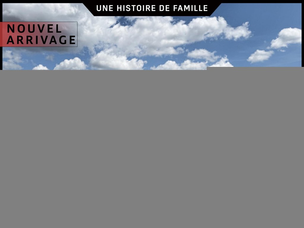 2021 Chevrolet Silverado 1500 in St-Raymond, Quebec - 3 - w1024h768px
