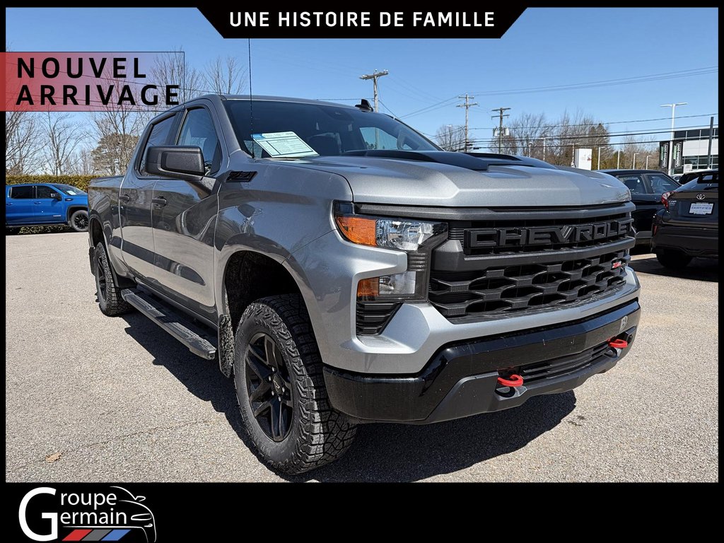 2024 Chevrolet Silverado 1500 in St-Raymond, Quebec - 20 - w1024h768px