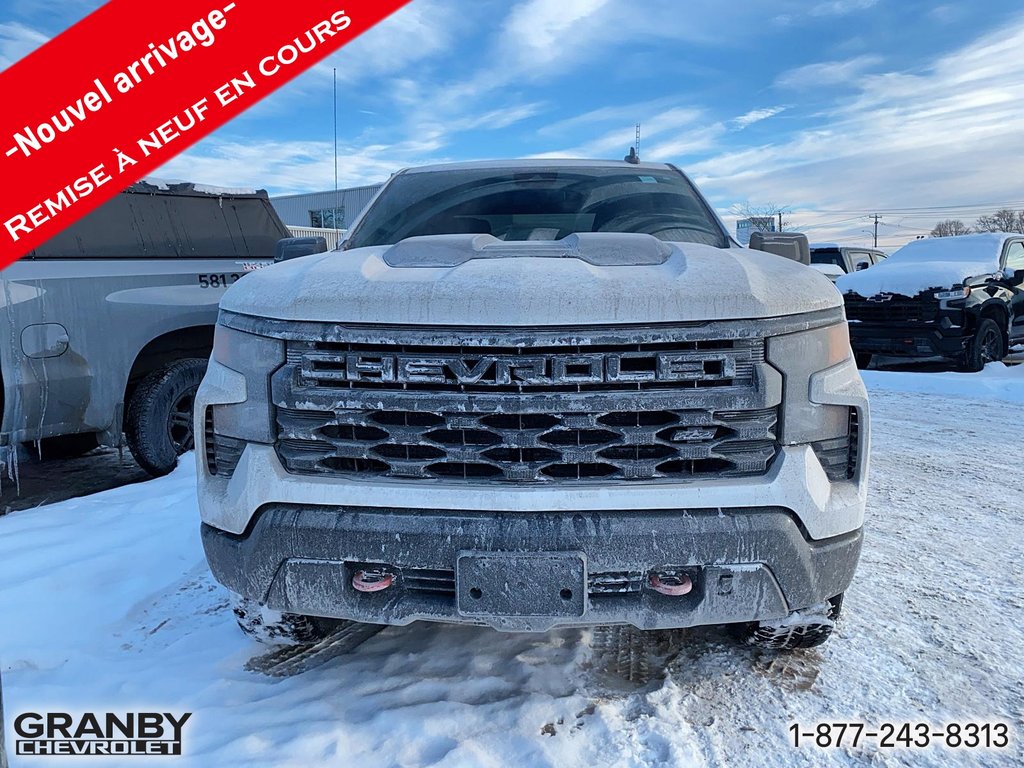 2024 Chevrolet Silverado 1500 Custom Trail Boss Boite 6,6 V8 in Granby, Quebec - 2 - w1024h768px