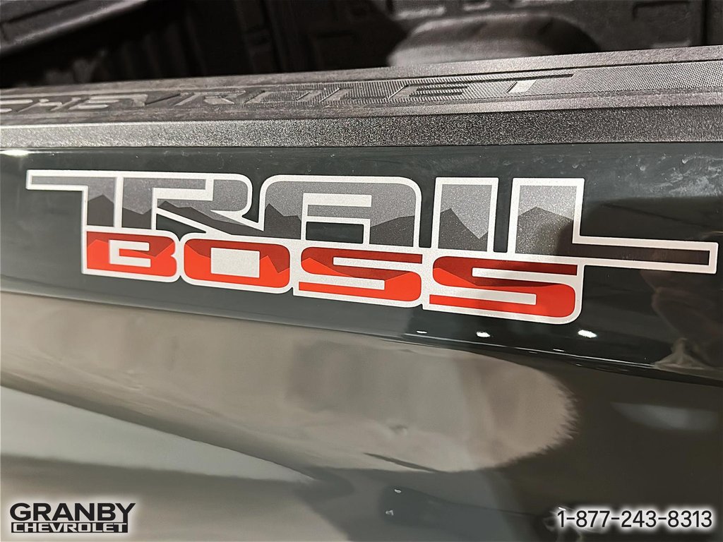 2026 Chevrolet Silverado 1500 in Granby, Quebec - 19 - w1024h768px