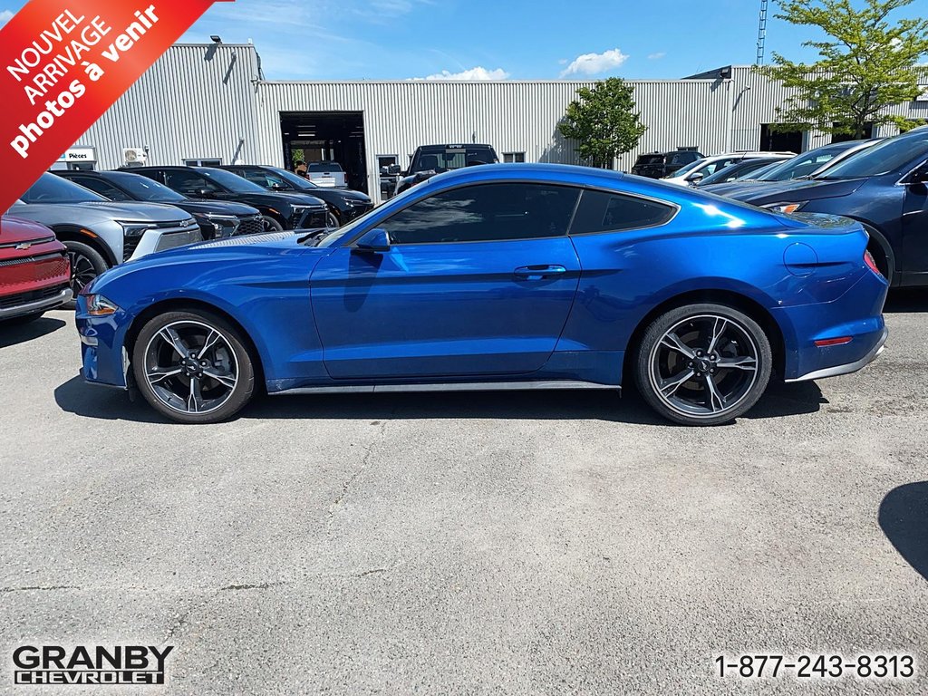 Ford Mustang MOTEUR 2.3L 2018 à Granby, Québec - 6 - w1024h768px