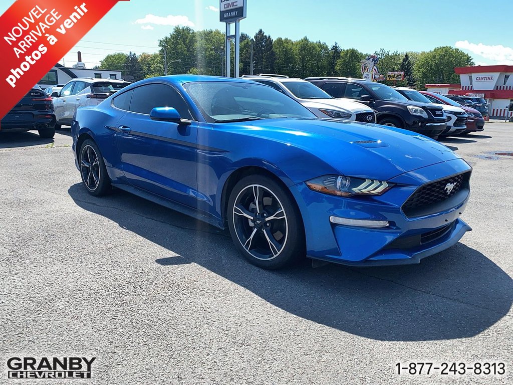 Ford Mustang MOTEUR 2.3L 2018 à Granby, Québec - 3 - w1024h768px