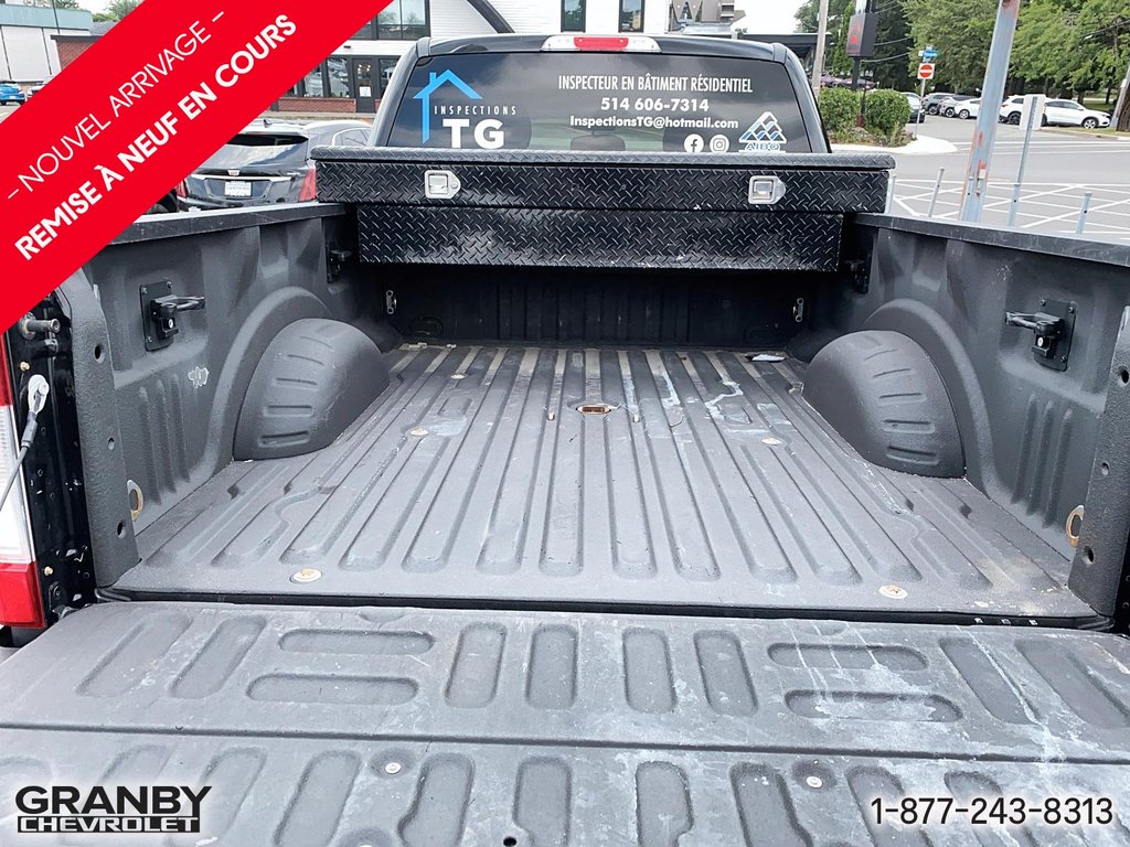 2017 Ford Super Duty F-250 SRW in Granby, Quebec - 5 - w1024h768px