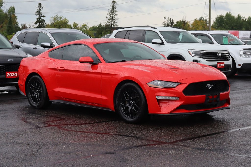 Ford Mustang  2018 à Sault Ste. Marie, Ontario - 3 - w1024h768px