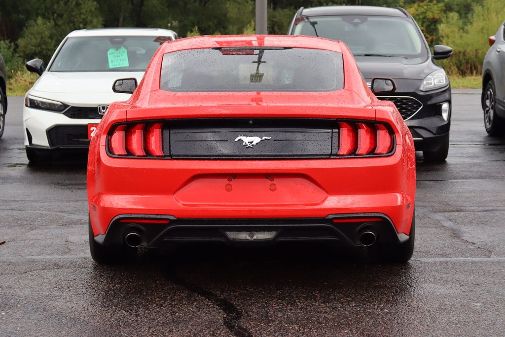 Ford Mustang  2018 à Sault Ste. Marie, Ontario - 5 - w1024h768px