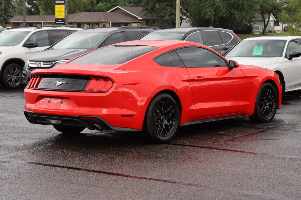 Ford Mustang  2018 à Sault Ste. Marie, Ontario - 4 - w1024h768px