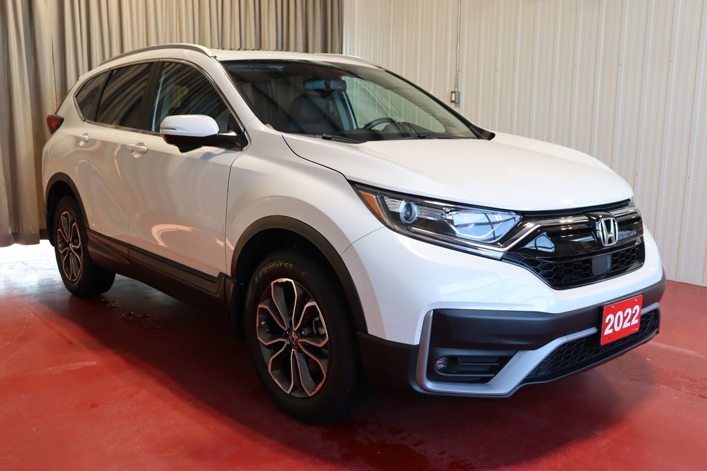 2022 Honda CR-V EX-L in Sault Ste. Marie, Ontario - 3 - w1024h768px