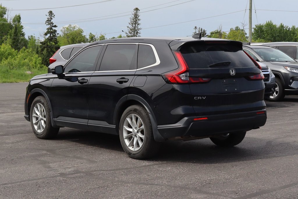 Honda CR-V EX-L 2024 à Sault Ste. Marie, Ontario - 6 - w1024h768px