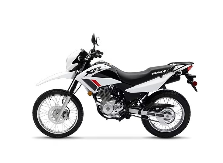 2024 Honda XR150LR DUAL SPORT in Sault Ste. Marie, Ontario - 3 - w1024h768px