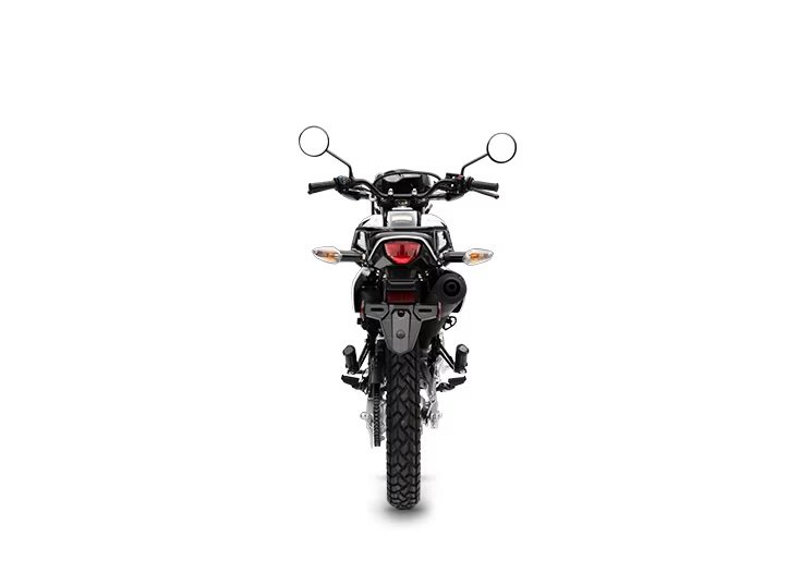 2024 Honda XR150LR DUAL SPORT in Sault Ste. Marie, Ontario - 2 - w1024h768px