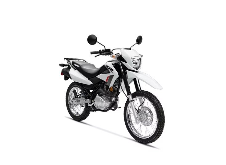 2024 Honda XR150LR DUAL SPORT in Sault Ste. Marie, Ontario - 6 - w1024h768px