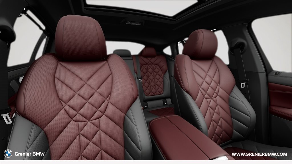 2026 BMW X6 xDrive40i in Terrebonne, Quebec - 11 - w1024h768px