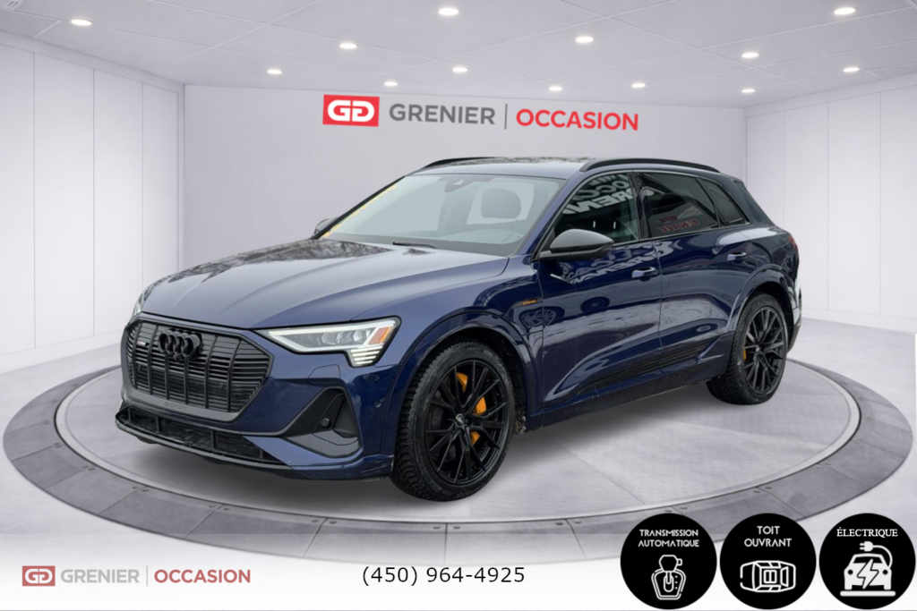 2022 Audi e-tron Progressiv AWD Caméra De Recul in Terrebonne, Quebec - 3 - w1024h768px