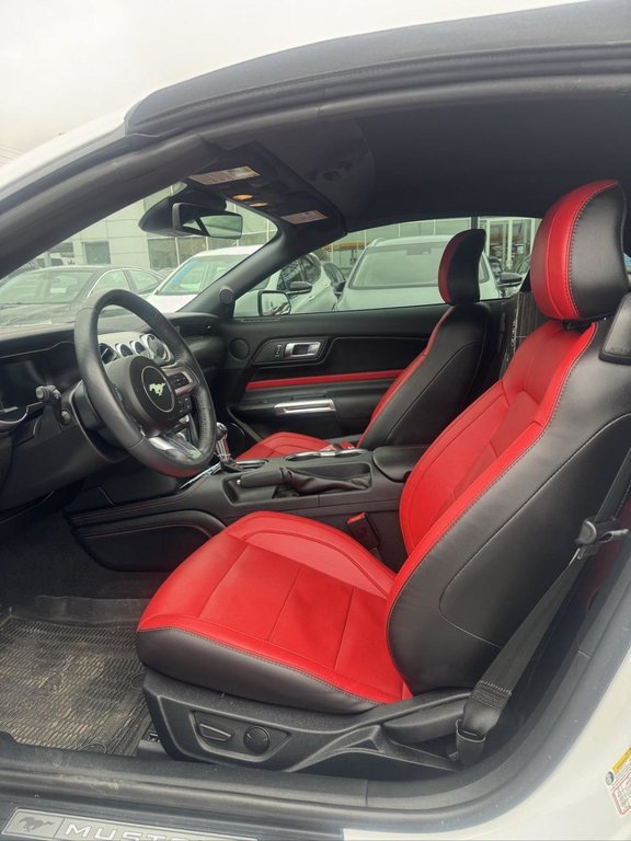 Ford Mustang GT Premium Bas Kilométrage Convertible 2023 à Terrebonne, Québec - 8 - w1024h768px