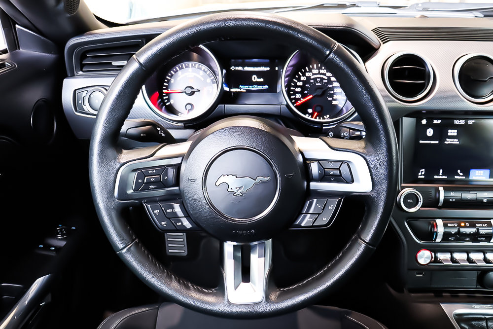 Ford Mustang ECOBOOST + MANUELLE + CAMERA DE RECUL 2019 à Terrebonne, Québec - 14 - w1024h768px