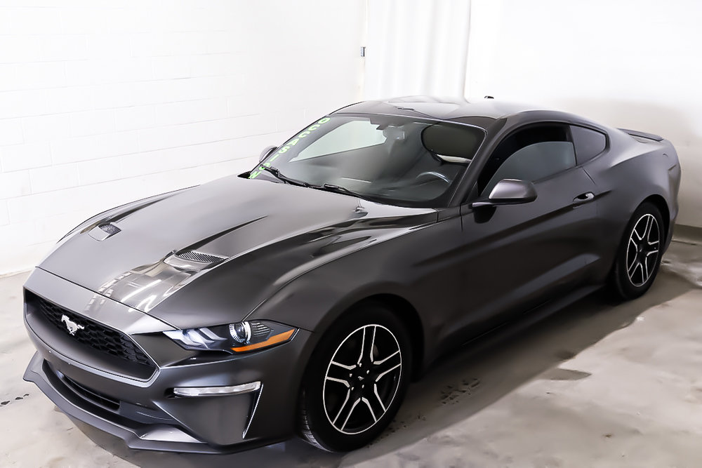 Ford Mustang ECOBOOST + MANUELLE + CAMERA DE RECUL 2019 à Terrebonne, Québec - 3 - w1024h768px