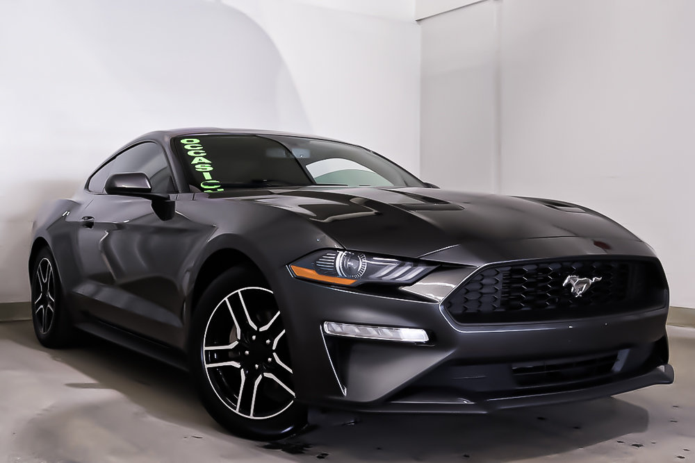 Ford Mustang ECOBOOST + MANUELLE + CAMERA DE RECUL 2019 à Terrebonne, Québec - 1 - w1024h768px