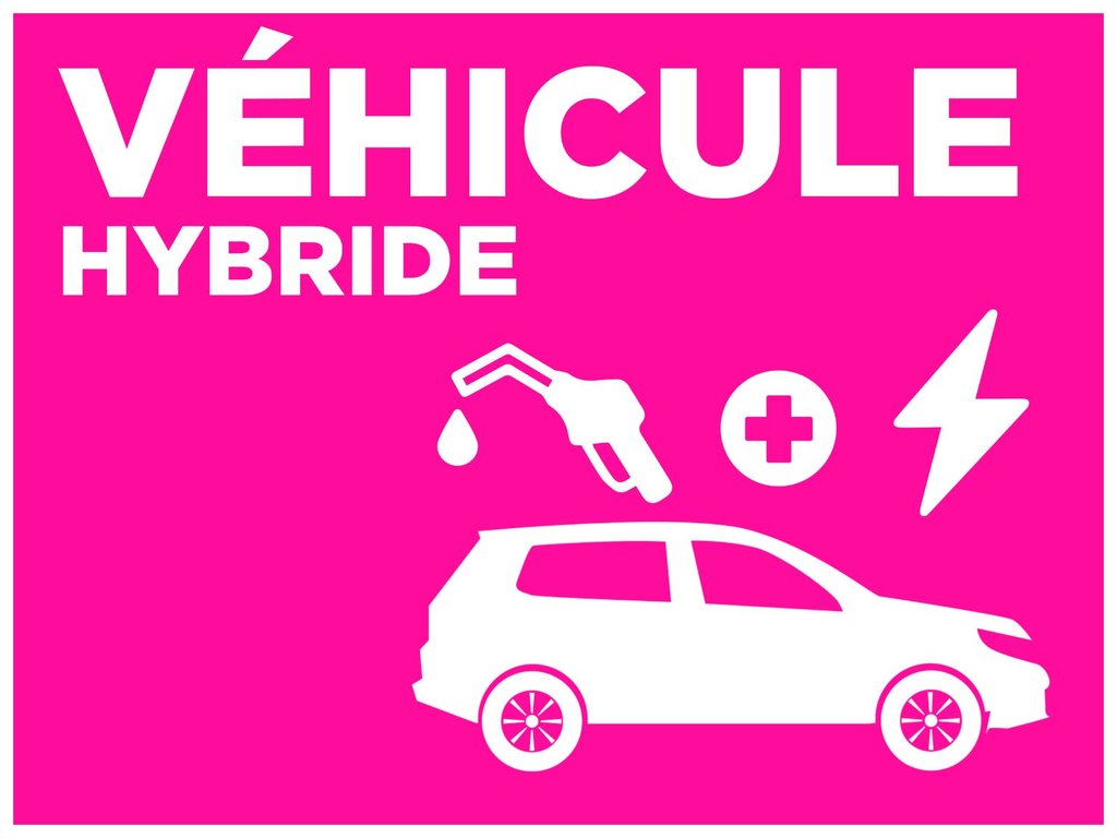 Toyota RAV4 HYBRIDE LIMITED+TOIT OUVRANT+CUIR 2019 à Mascouche, Québec - 4 - w1024h768px