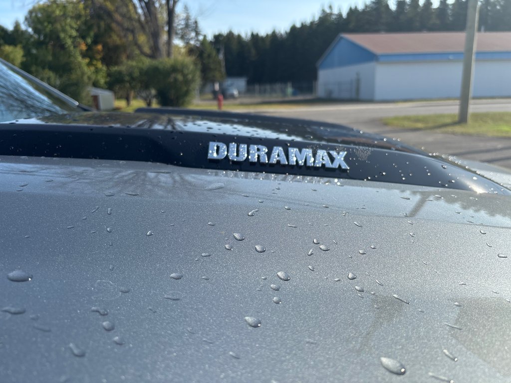 Chevrolet Silverado 1500 Custom Trail Boss 2026 à New Richmond, Québec - 12 - w1024h768px