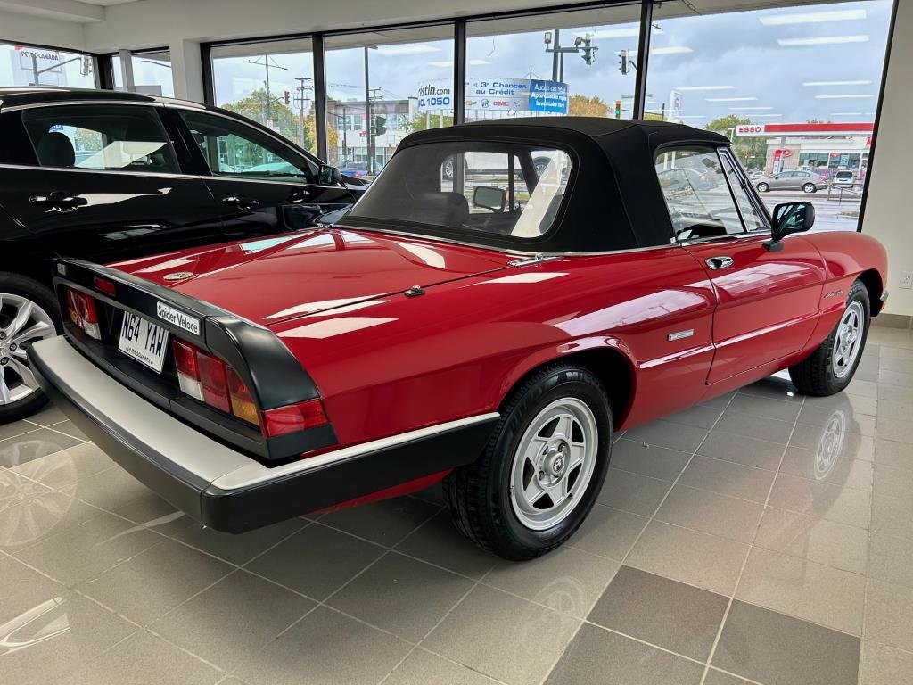 Alfa Romeo SPYDER  1988 à Montréal, Québec - 2 - w1024h768px