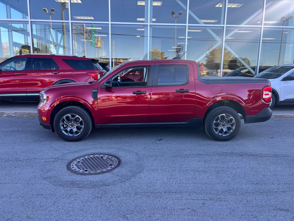 2025 Ford Maverick XLT | AWD | 2.5 HYBRID | LUXURY PACK | in Brossard, Quebec - 7 - w1024h768px