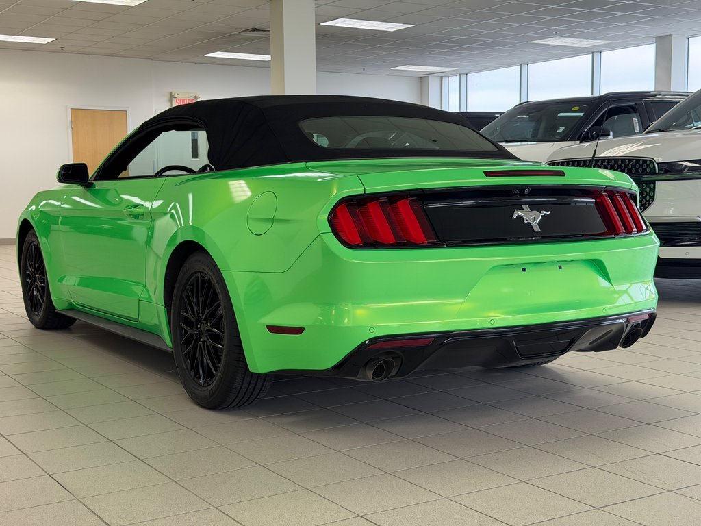 Ford Mustang convertible  2017 à Brossard, Québec - 13 - w1024h768px