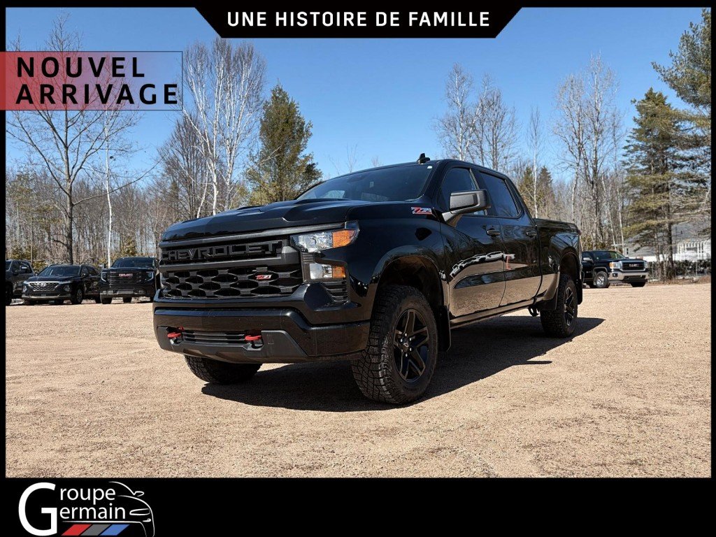 2024 Chevrolet Silverado 1500 à St-Raymond, Québec - 6 - w1024h768px