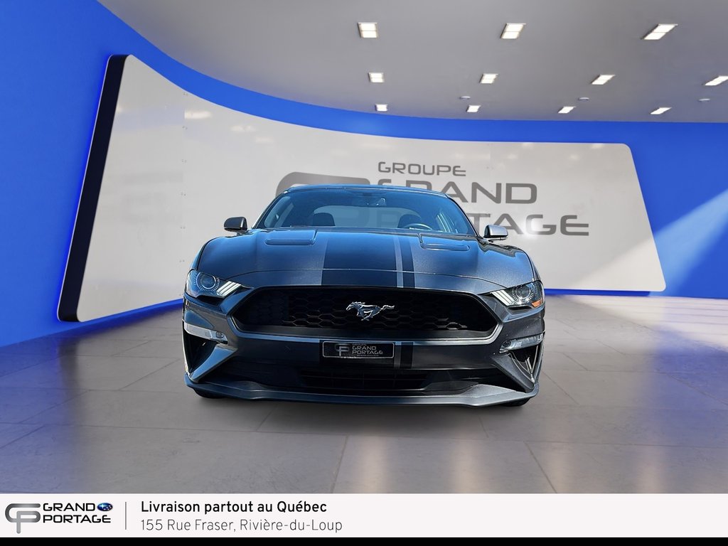 2019 Ford Mustang EcoBoost, boîte automatique, propulsion in Rivière-du-loup, Quebec - 2 - w1024h768px