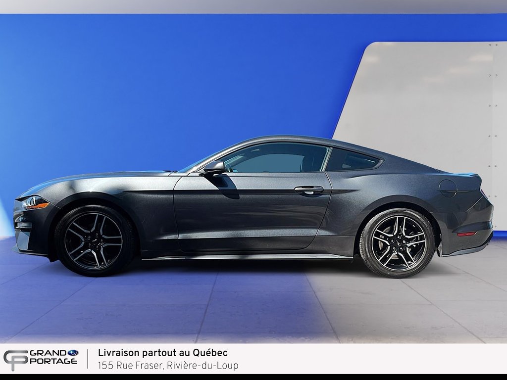 2019 Ford Mustang EcoBoost, boîte automatique, propulsion in Rivière-du-loup, Quebec - 8 - w1024h768px