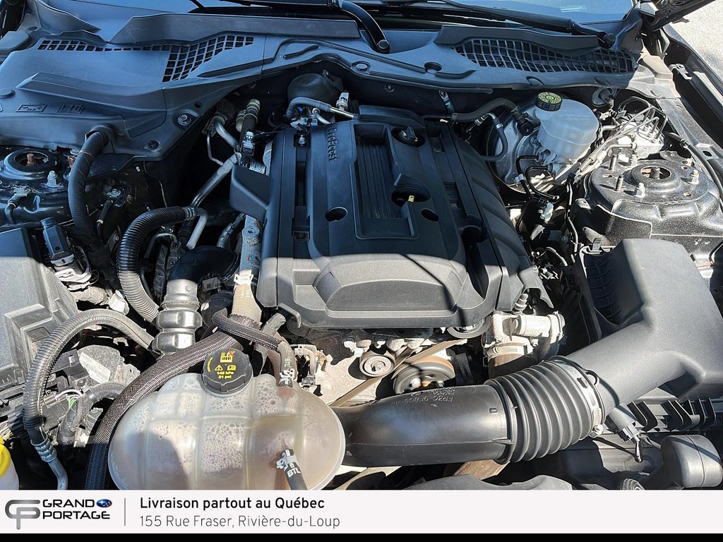 2019 Ford Mustang EcoBoost, boîte automatique, propulsion in Rivière-du-loup, Quebec - 11 - w1024h768px