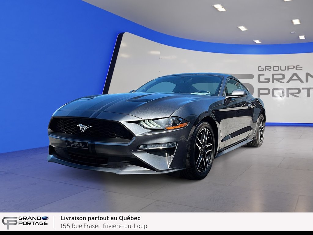 2019 Ford Mustang EcoBoost, boîte automatique, propulsion in Rivière-du-loup, Quebec - 1 - w1024h768px