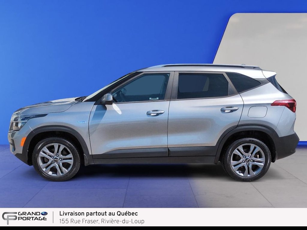 Kia Seltos EX, CVT à traction Intégrale 2021 à Rivière-du-loup, Québec - 8 - w1024h768px
